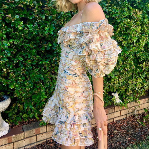 Zimmermann Dresses & Skirts - ZIMMERMANN Painted Heart Folds Ruffle Dress Z1/US4